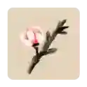 冬蜃楼