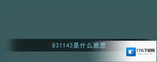 831143是什么意思