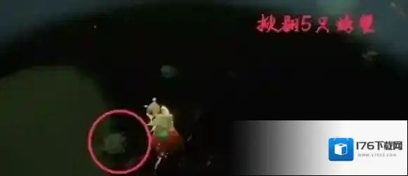 光遇7月1日每日任务怎么做？光遇7月1日每日任务完成攻略