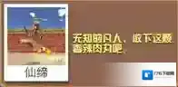 疯狂动物园野牛大全 野牛属性图鉴