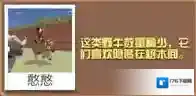 疯狂动物园野牛大全 野牛属性图鉴