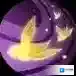 阴阳师SSR奶，画中的小姐姐【花鸟卷】