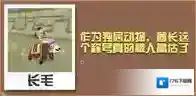 疯狂动物园熊大全 熊属性图鉴