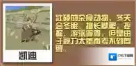疯狂动物园熊大全 熊属性图鉴