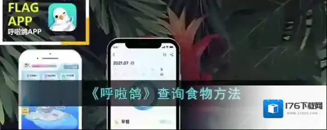 《呼啦鸽》查询食物方法