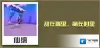 疯狂动物园北极兔大全 北极兔属性图鉴