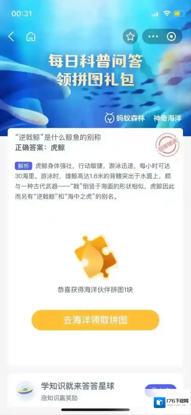逆戟鲸是什么鲸鱼的别称